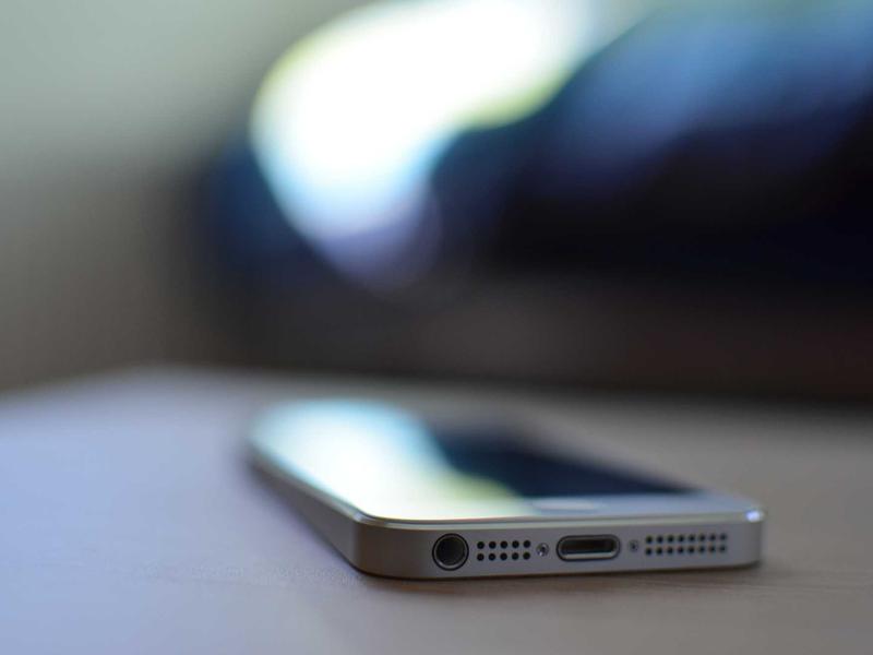 DarGorPexBel Santa Marta